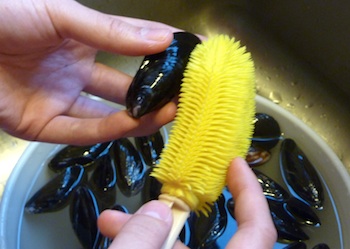 https://www.superseafoodrecipes.com/image-files/cleaning-mussels-2.jpg
