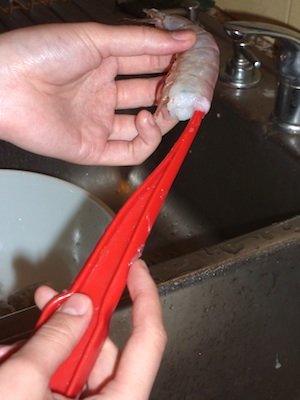 Photo of mussel being cleaned with a brush / www.super-seafood-recipes.com